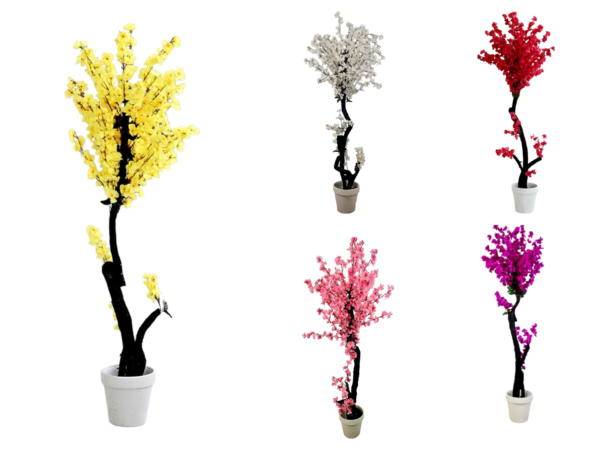 Blossom Plant