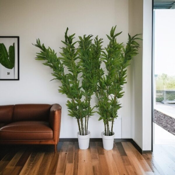 Bamboo-Plant-Set